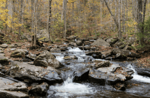 An alcohol and drug rehab program Chester Springs PA can offer you treatment plans designed to tackle mental health disorders and additional treatment services through intensive outpatient programs, partial hospitalization programs, personalized treatment plans, and more in Chester Springs PA.